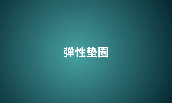 弹性垫圈