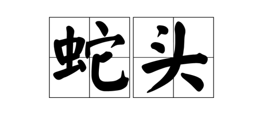蛇头（词语）