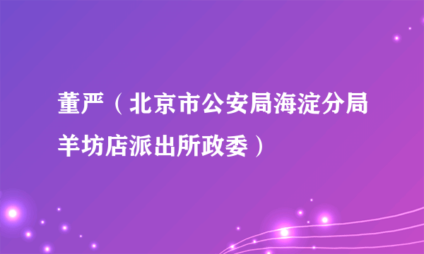 董严（北京市公安局海淀分局羊坊店派出所政委）