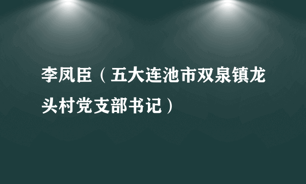 李凤臣（五大连池市双泉镇龙头村党支部书记）
