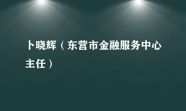 卜晓辉（东营市金融服务中心主任）