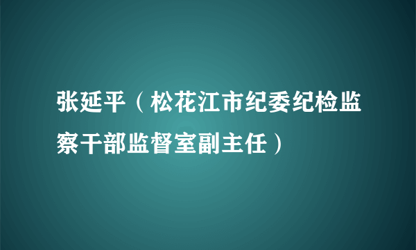 张延平（松花江市纪委纪检监察干部监督室副主任）