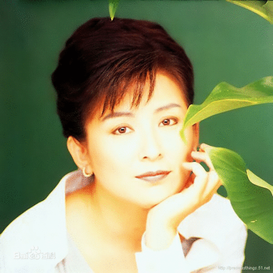 拥抱我（陈淑桦演唱歌曲）