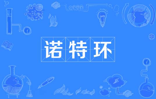 诺特环