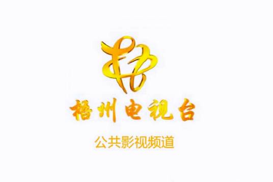 梧州电视台公共影视频道