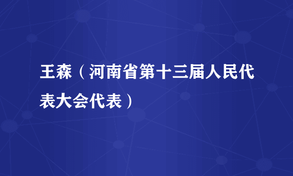 王森（河南省第十三届人民代表大会代表）