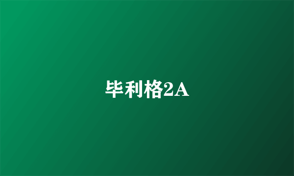 毕利格2A