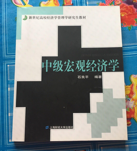 中级宏观经济学（2004年上海财经大学出版社出版的图书）