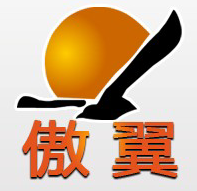 济南傲翼网络科技有限公司