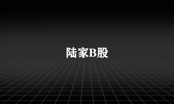 陆家B股