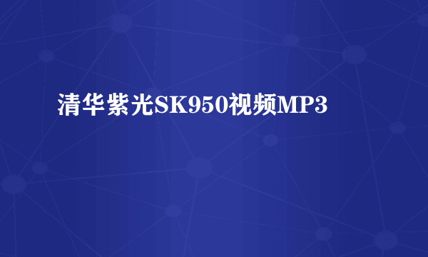 清华紫光SK950视频MP3