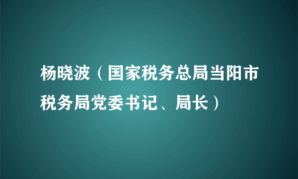 杨晓波（国家税务总局当阳市税务局党委书记、局长）