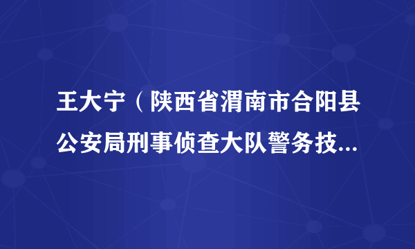 王大宁（陕西省渭南市合阳县公安局刑事侦查大队警务技术三级主管）