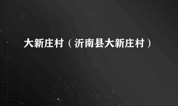 大新庄村（沂南县大新庄村）