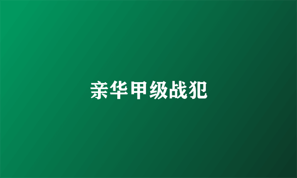 亲华甲级战犯