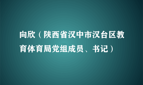 向欣（陕西省汉中市汉台区教育体育局党组成员、书记）