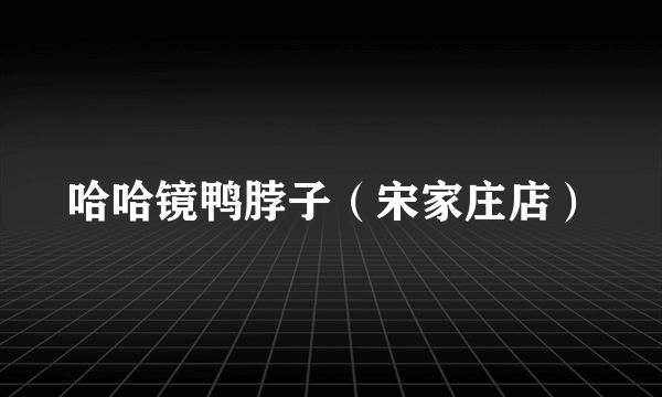 哈哈镜鸭脖子（宋家庄店）