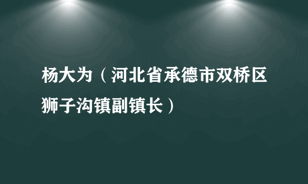 杨大为（河北省承德市双桥区狮子沟镇副镇长）
