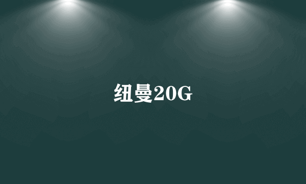 纽曼20G
