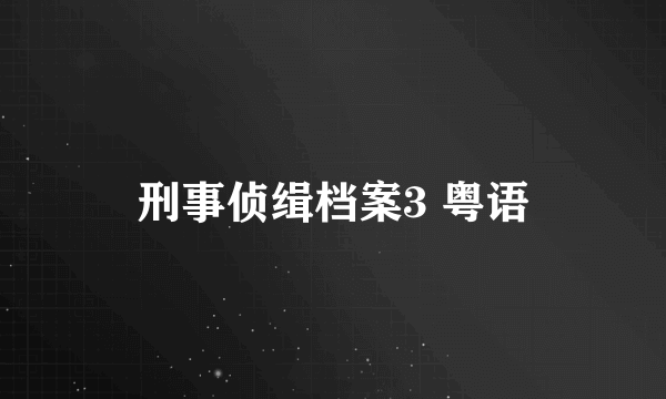刑事侦缉档案3 粤语