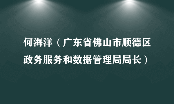 何海洋（广东省佛山市顺德区政务服务和数据管理局局长）