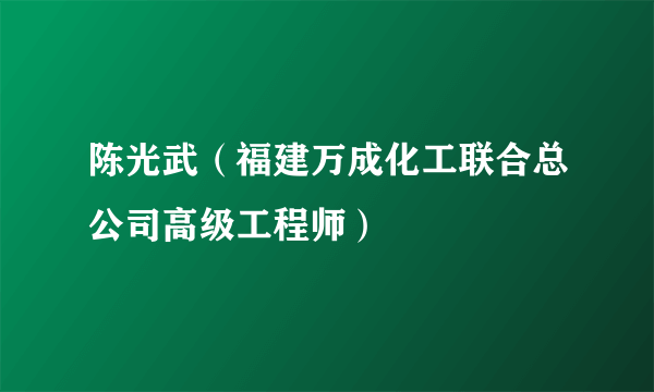 陈光武（福建万成化工联合总公司高级工程师）