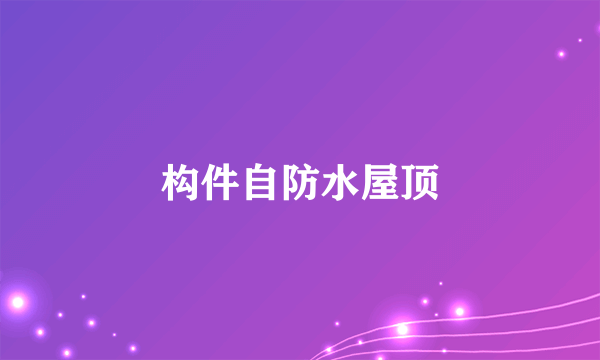 构件自防水屋顶