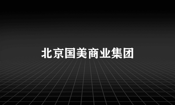 北京国美商业集团