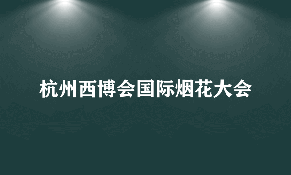 杭州西博会国际烟花大会