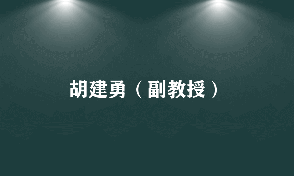 胡建勇（副教授）