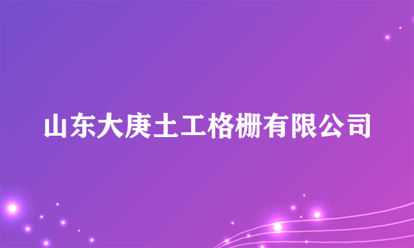 山东大庚土工格栅有限公司