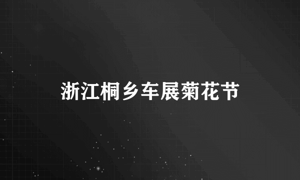 浙江桐乡车展菊花节