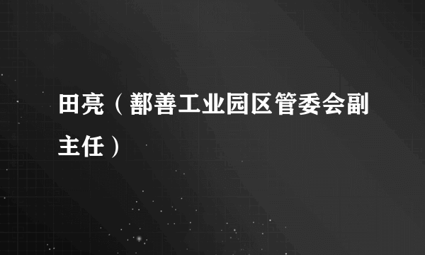 田亮（鄯善工业园区管委会副主任）
