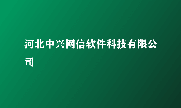 河北中兴网信软件科技有限公司