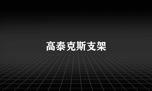 高泰克斯支架