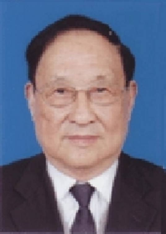孙逊（北京中医药大学教授）