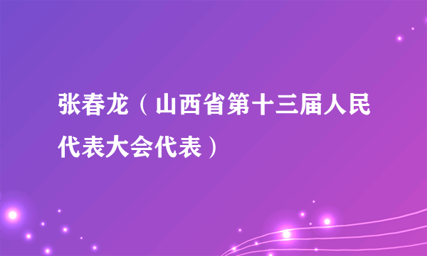 张春龙（山西省第十三届人民代表大会代表）