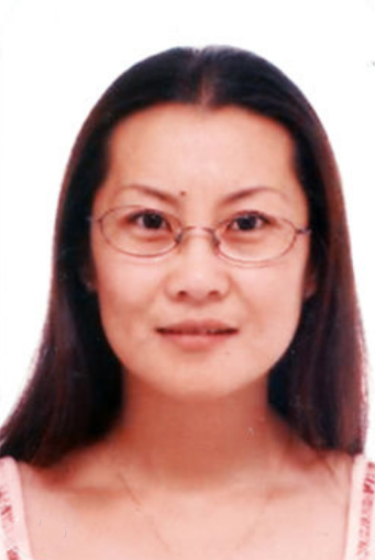 张平（天津大学副教授）