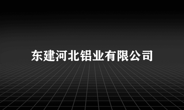 东建河北铝业有限公司