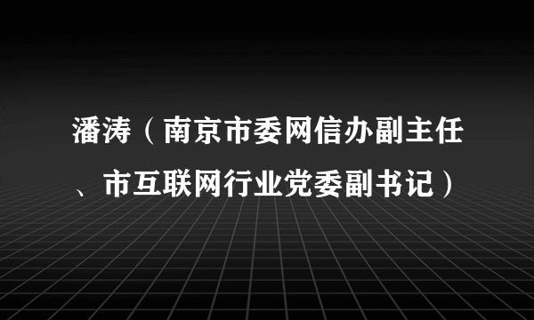 潘涛（南京市委网信办副主任、市互联网行业党委副书记）