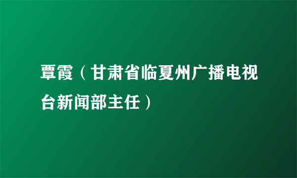 覃霞（甘肃省临夏州广播电视台新闻部主任）