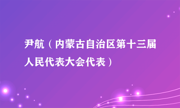 尹航（内蒙古自治区第十三届人民代表大会代表）