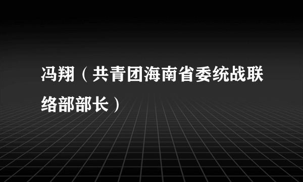 冯翔（共青团海南省委统战联络部部长）