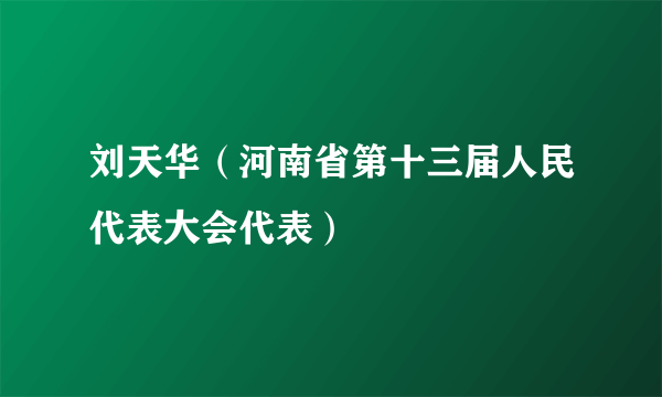 刘天华（河南省第十三届人民代表大会代表）