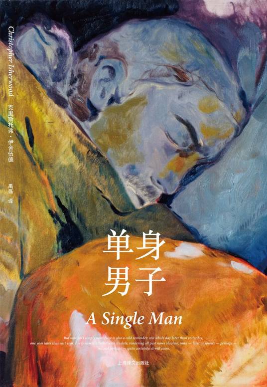 单身男子（2020年上海译文出版社出版的图书）