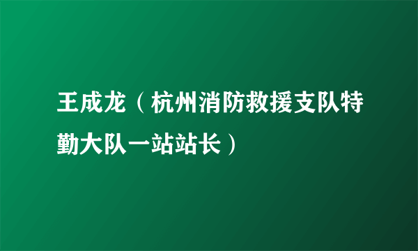 王成龙（杭州消防救援支队特勤大队一站站长）