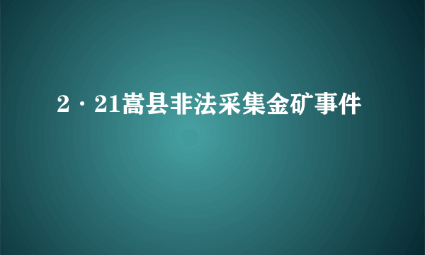 2·21嵩县非法采集金矿事件