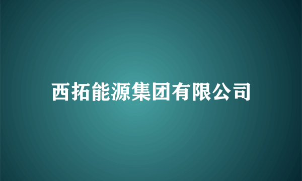 西拓能源集团有限公司