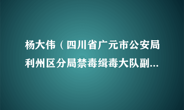杨大伟（四川省广元市公安局利州区分局禁毒缉毒大队副大队长）