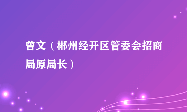 曾文（郴州经开区管委会招商局原局长）